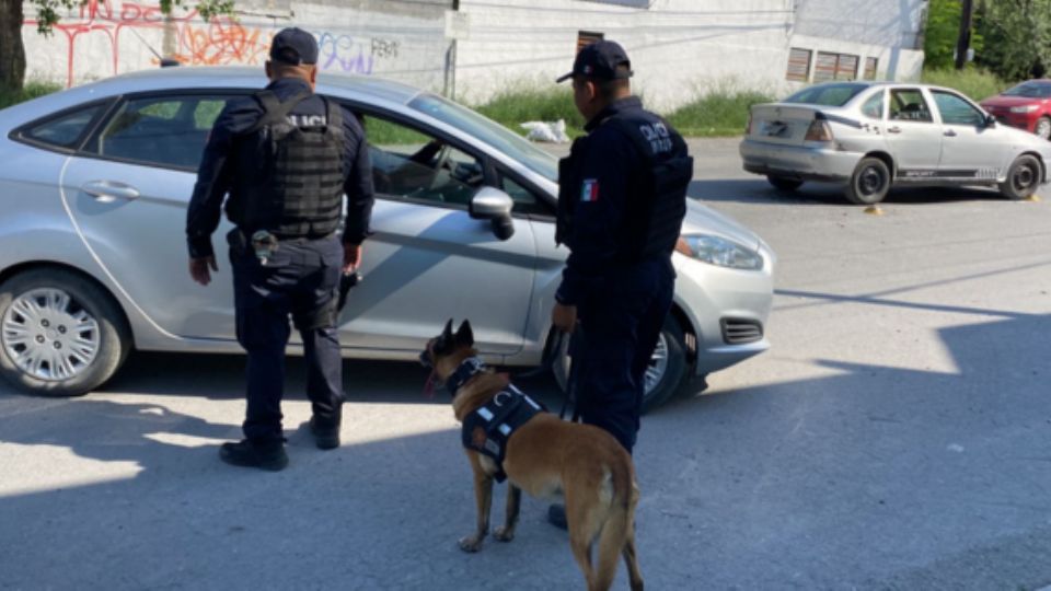 Durante el operativo se utilizaron binomios caninos.