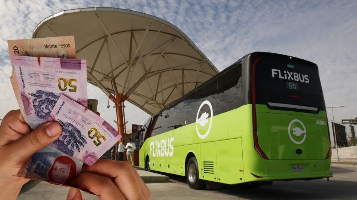 Autobuses alemanes llegan a Monterrey y ofrecen viajes en 30 pesos: Esto sabemos