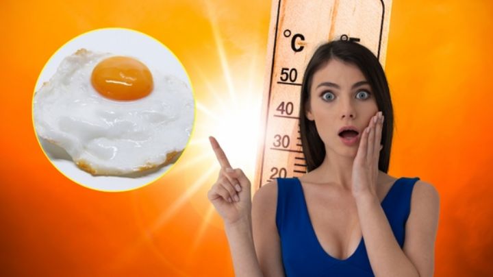 ¿Es posible cocinar un huevo al sol? Ésta es la verdad sobre los videos virales