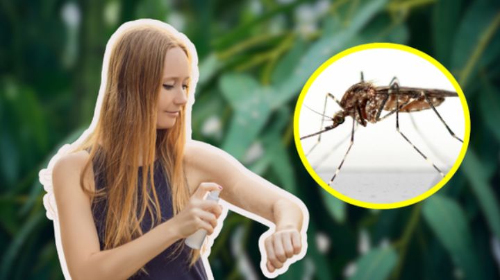Cómo hacer un repelente de mosquitos casero con ingredientes que ya tienes
