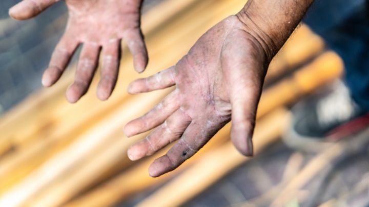Revelan que 40 mil niños en NL trabajan de manera ilegal: Secretaría del Trabajo