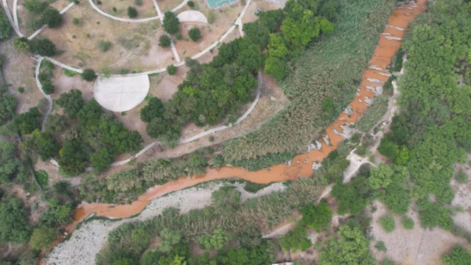 Fiscalía de NL designará hoy al titular de la Fiscalía Ambiental.