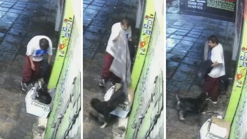 Hombre roba su cobija a perrito sin hogar en Iztapalapa