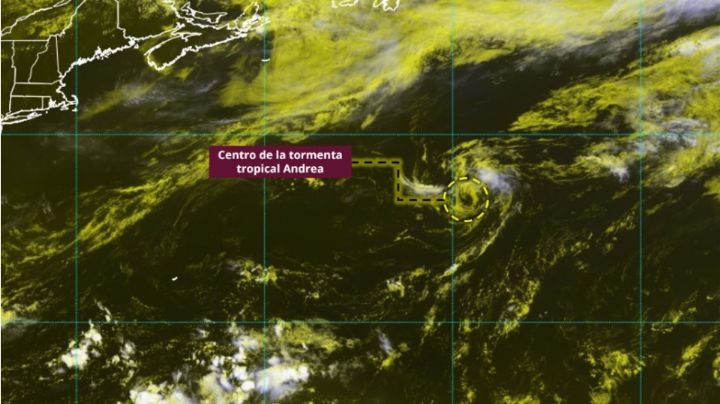 Se forma Andrea, la primera tormenta tropical del Pacífico: ¿Impactará a México?