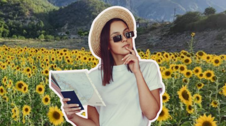 ¿Cómo llegar al campo de girasoles en Santiago, Nuevo León?