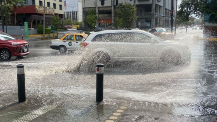 Viento fuerte y lluvia causan estragos en Monterrey y Área Metropolitana