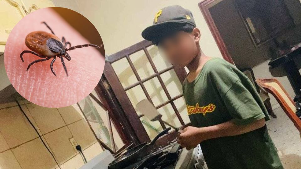 Menor de edad muere tras ser picado por garrapata en Saltillo