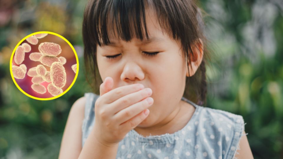 Los niños pequeños son población de riesgo ante la tosferina.