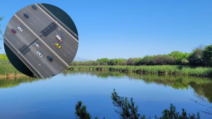 Construcción de puente vehicular amenaza humedales y especies animales en Zuazua