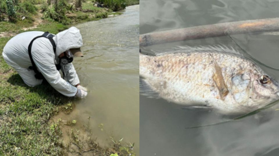 Inspección en el Río Pesquería.