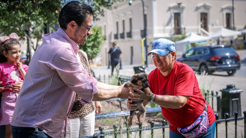 Santiago celebra Feria de Adopción y 18 perritos encuentran un nuevo hogar.