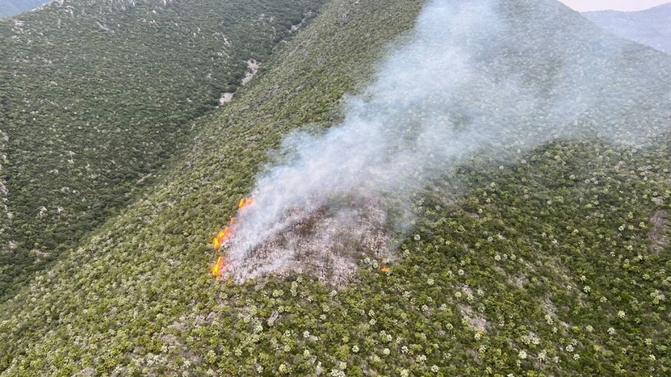 Continúan labores para sofocar incendio forestal en Villaldama.