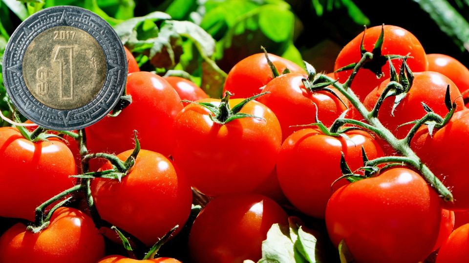 Tomates se encarecerán por aranceles