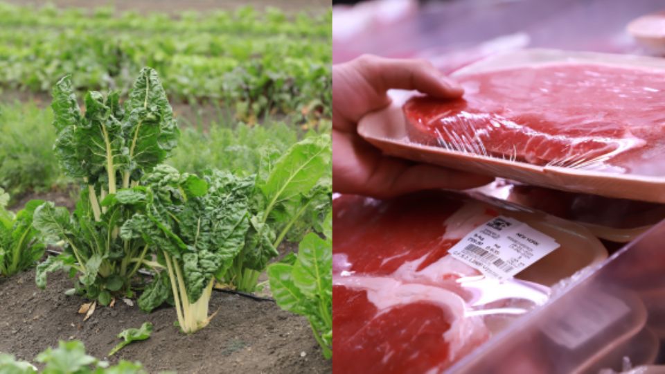 Productos agrícolas y cárnicos.