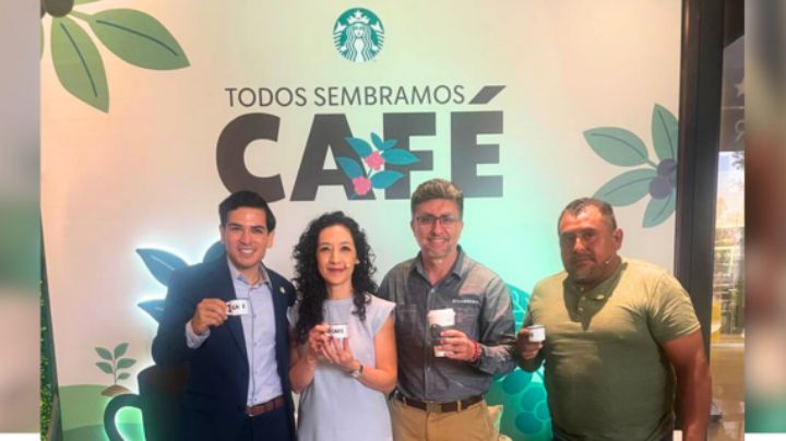 'Todos Sembramos Café', el programa de Starbucks que fortalece al campo mexicano