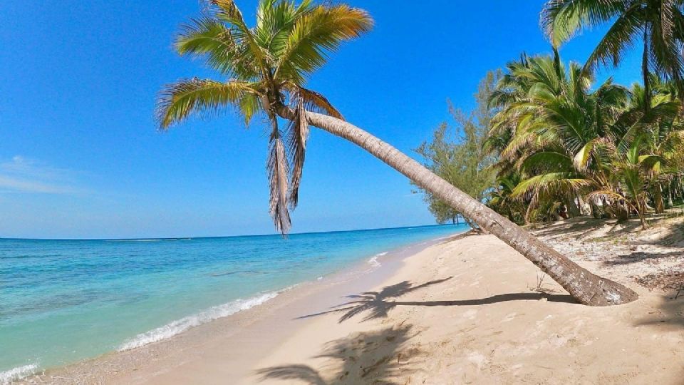 Isla Lobos: la playa escondida de Veracruz que puedes visitar desde Monterrey