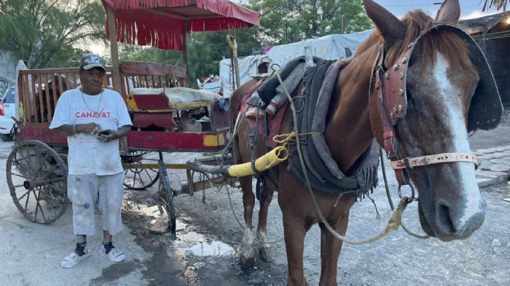 Carretoneros temen por sustento ante prohibición de uso de animales: ‘lo desgracian a uno'