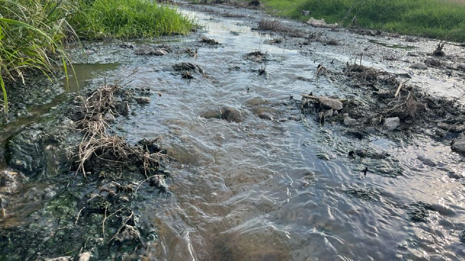 Arroyo de Aguas Negras Contamina el Río Pesquería y Vecinos Exigen Solución