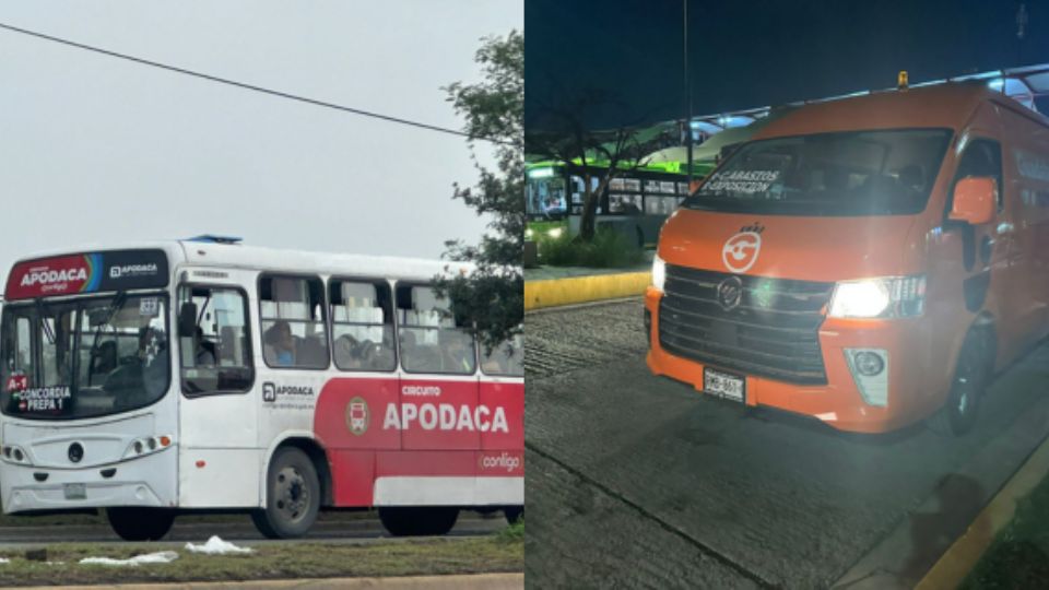 Rutas gratuitas municipales.