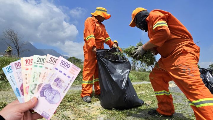 Nuevo León busca trabajadores de limpieza y ofrece 14 mil pesos: Requisitos
