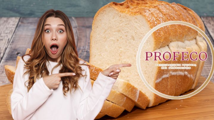 Profeco revela cuál es el pan más saludable de México y cuesta solo 34 pesos