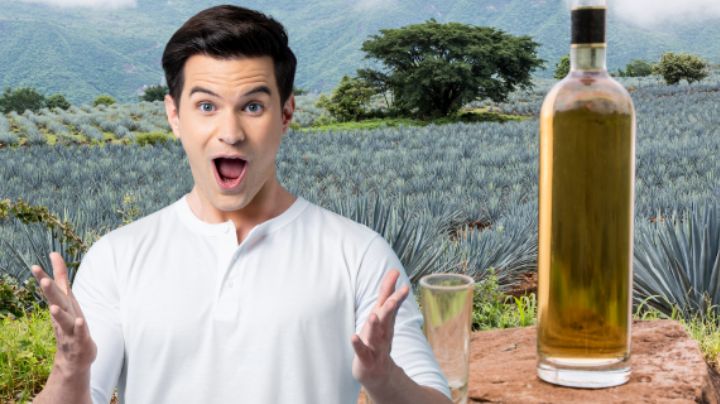 Día Internacional del Tequila: ¿Cuál es el más caro del mundo y por qué vale tanto?
