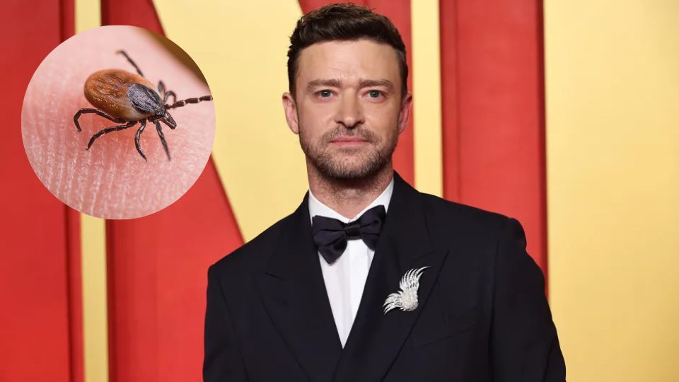 Justin Timberlake revela que padece la enfermedad de Lyme.