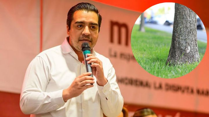 Denuncian a Jesús Nava por presunta venta irregular de 19 terrenos municipales