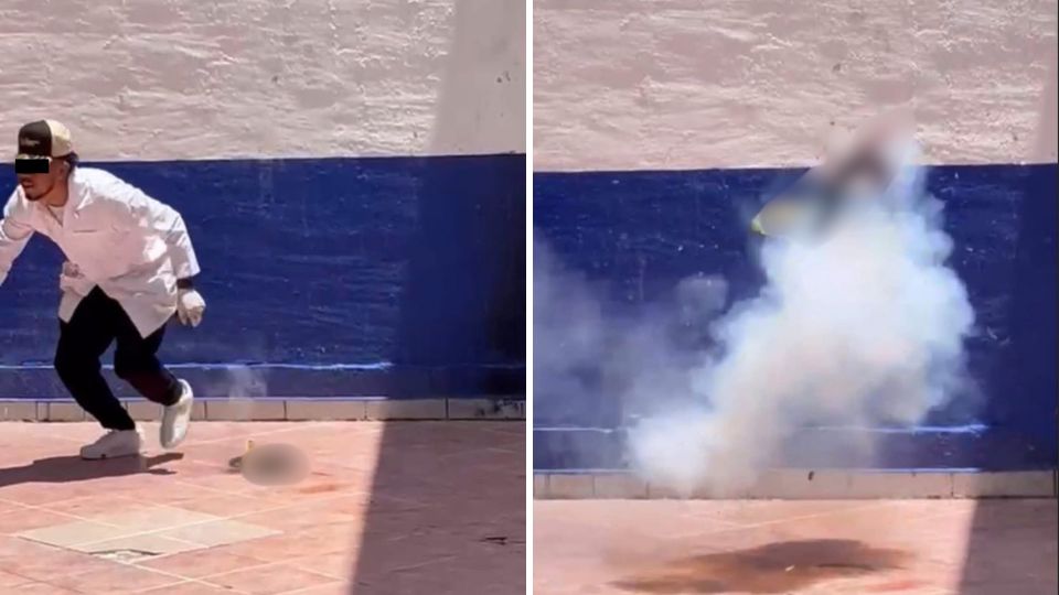 Estudiantes matan a gato en Pénjamo
