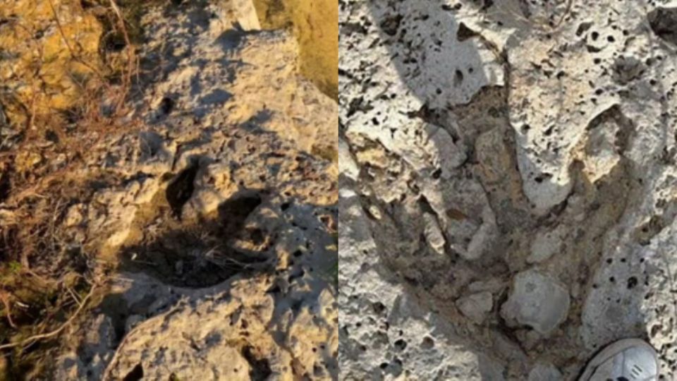 Huellas de dinosaurios.