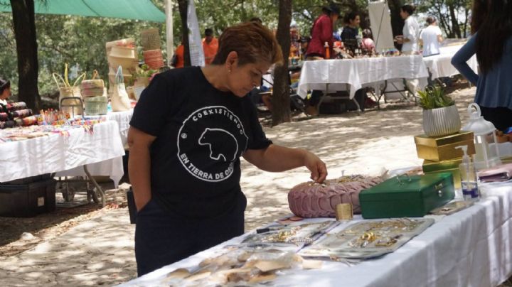 Parque Chipinque celebra 33 años con festival sobre osos y naturaleza