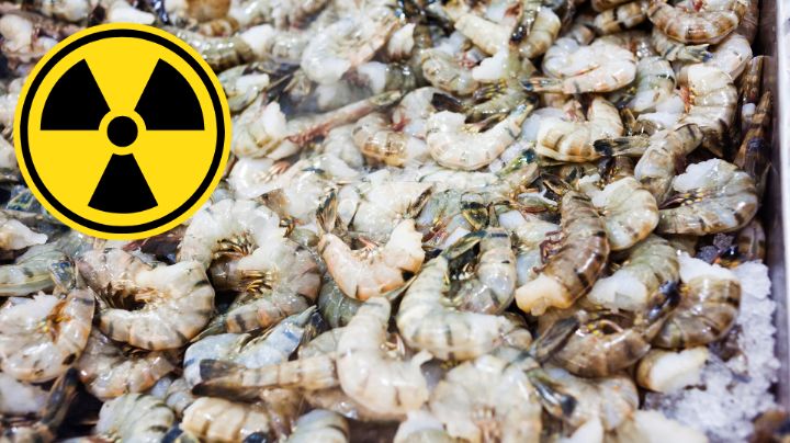 FDA alerta por venta de camarones radioactivos en supermercados