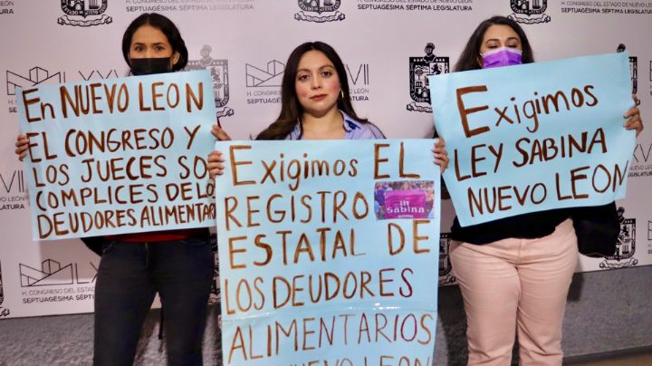 Diputada de Morena en NL Insiste en crear un Registro Estatal de Deudores Alimentarios
