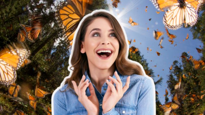 ¿Cuándo empieza la migración de mariposa monarca en NL?
