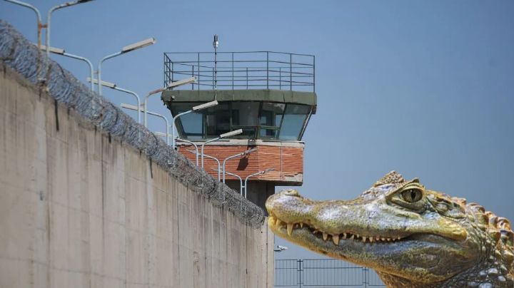 Alligator Alcatraz, cerca de quedar vacío por orden de cierre