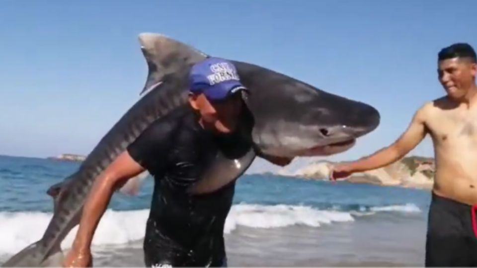 Hombre con el tiburón a los hombros.