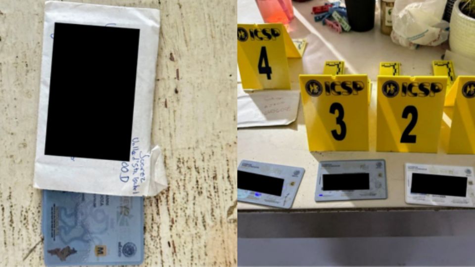 Licencias de conducir.