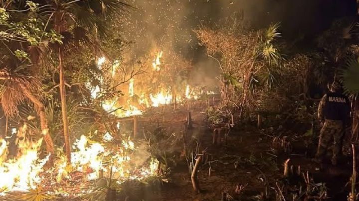 Consume incendio 400 hectáreas de la isla de Holbox, Quintana Roo