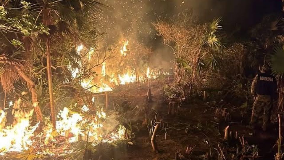 El fuego inició hace ocho días y sigue activo.