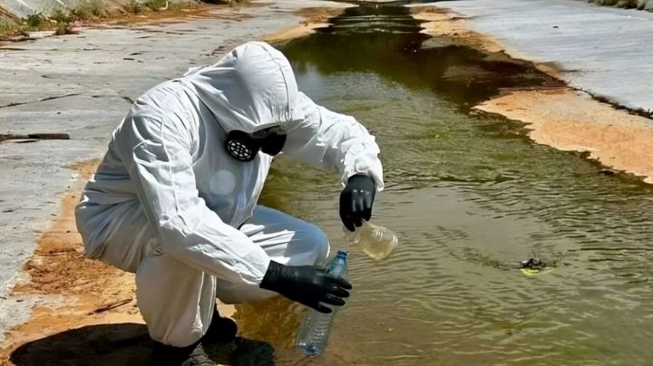 Aumentan a 40 los vinculados por delitos ambientales en NL