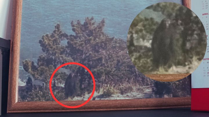¿Pie Grande en China? Antigua foto de Reddit desata debate sobre criatura misteriosa
