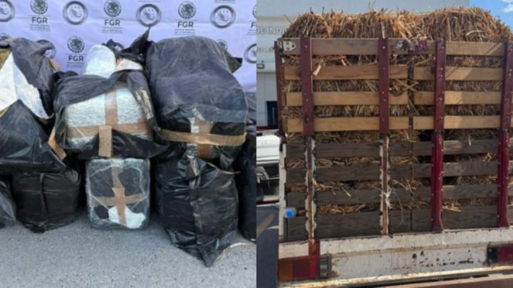 Detienen a presunto narcotraficante con 200 kilos de marihuana en General Bravo, NL