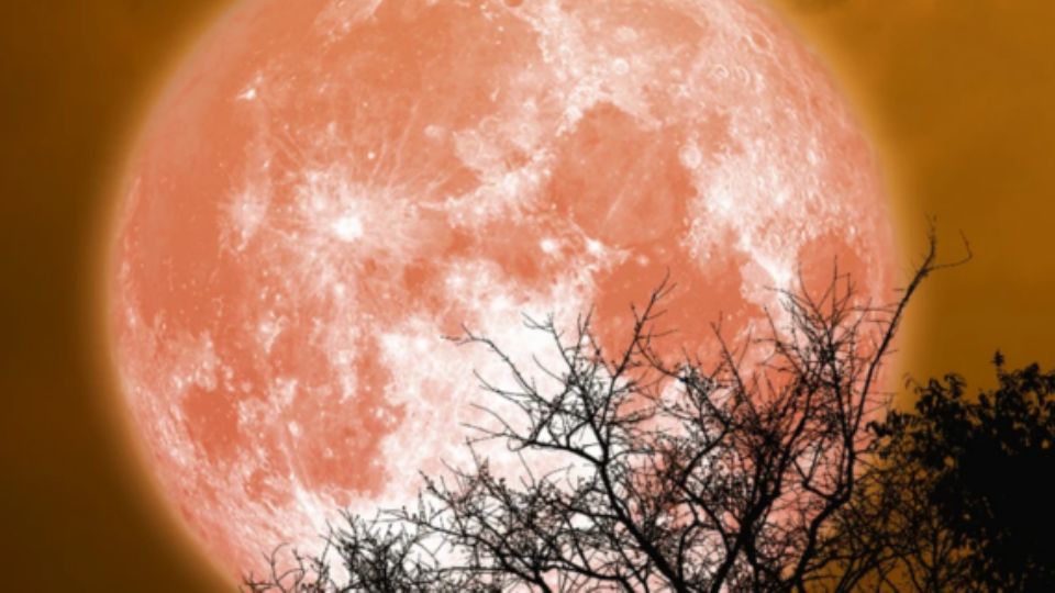 Luna llena de Esturión en México: ¿A qué hora exacta se podrá ver en su punto máximo?