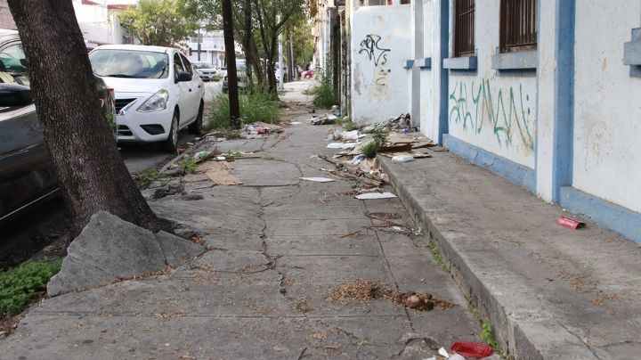 Abundan en Monterrey banquetas destrozadas