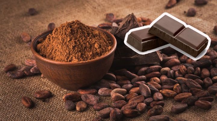 México produce cacao, pero consume chocolate importado y azucarado