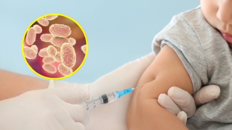 Nuevo León encabeza contagios de tos ferina en México