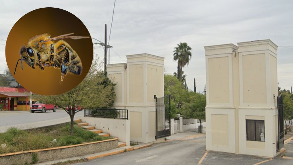 Acceso a Panteón Municipal de Montemorelos
