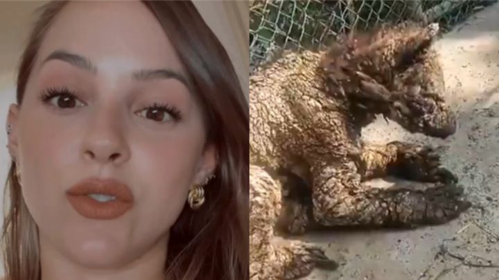 Mariana Rodríguez habla sobre osa en La Pastora; 'su enfermedad es irreversible'