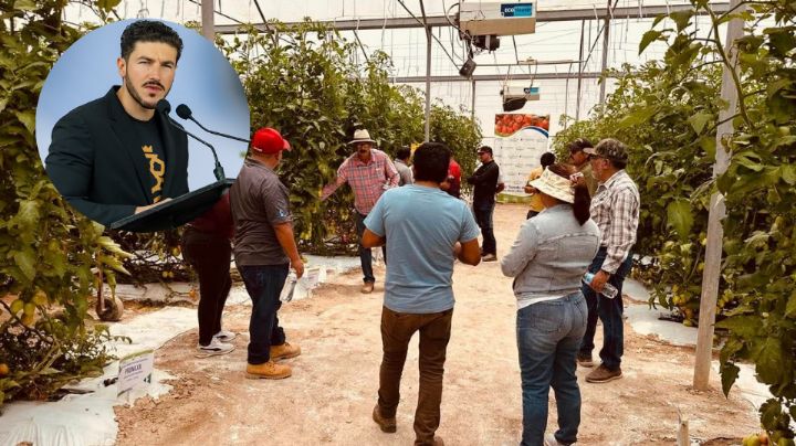 Anuncia Samuel García apoyos a productores del Tecnoparque Hortícola en Galeana