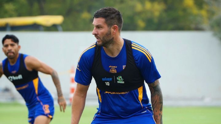 Así jugaría Tigres contra Querétaro, sin el suspendido Gorriarán y con Marcelo Flores como titular